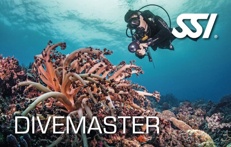 SSI-Divemaster-certification-card