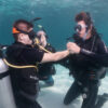 koh-tao-diving-skills-training