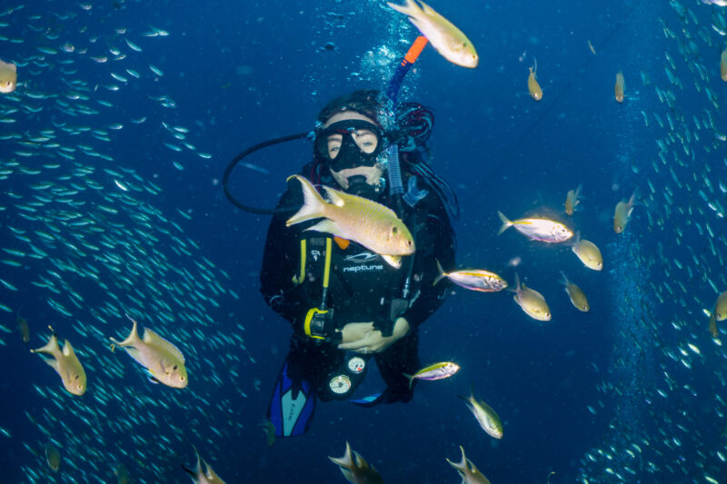 a person in scuba gear underwater with fish