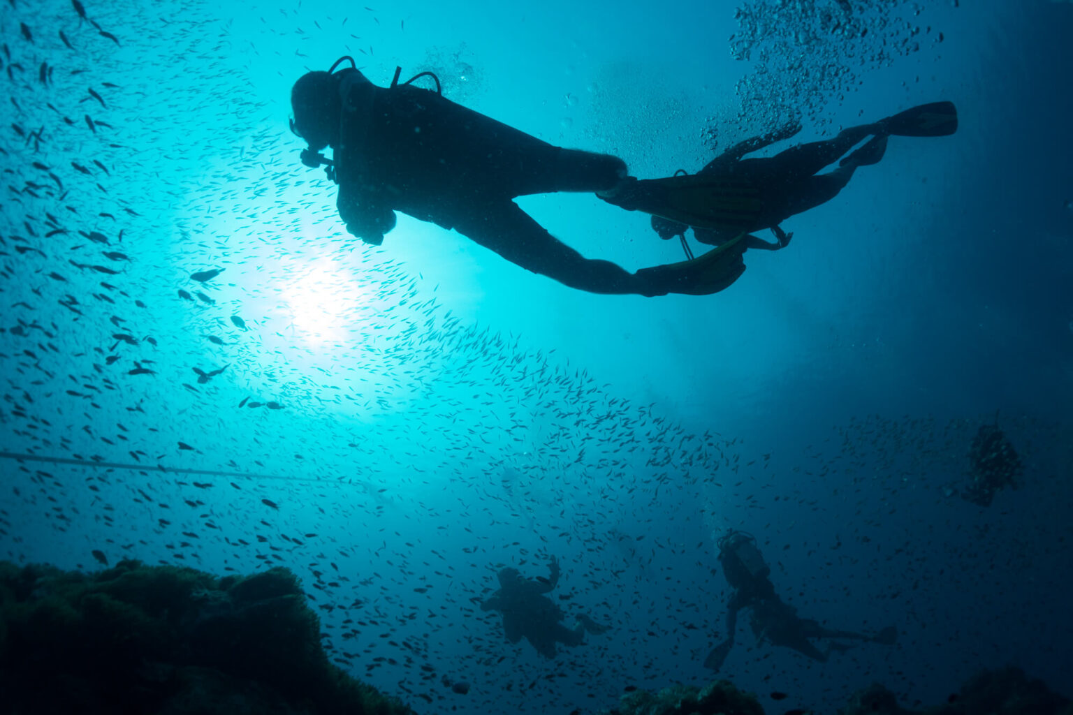 scuba divers swimming under water