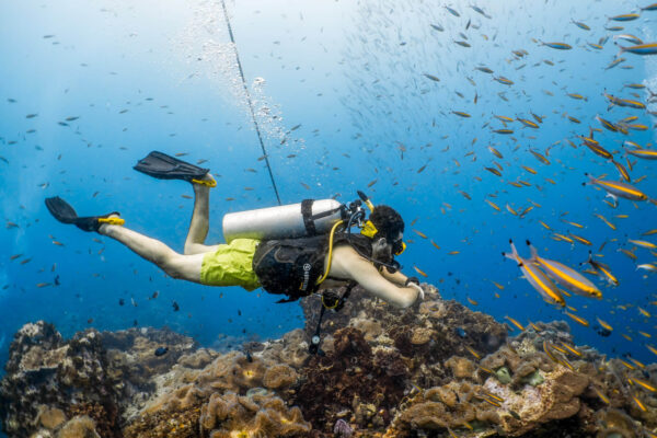Scuba diver exploring vibrant coral reef surrounded by colorful fish in crystal-clear ocean waters.