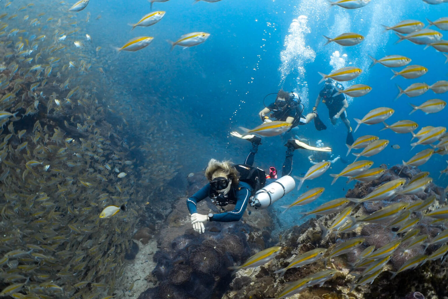 Become an SSI Instructor on Koh Tao with Goodtime Adventures
