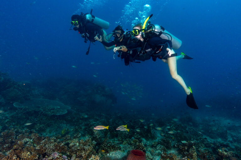 Experience Scuba Diving in Koh Tao with the SSI Basic diver. This image includes a couple of scuba divers on one of Koh Taos best dive sites.