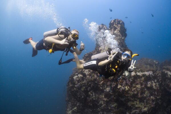 Divers exploring underwater in Koh Tao during a SCUBA diving course
