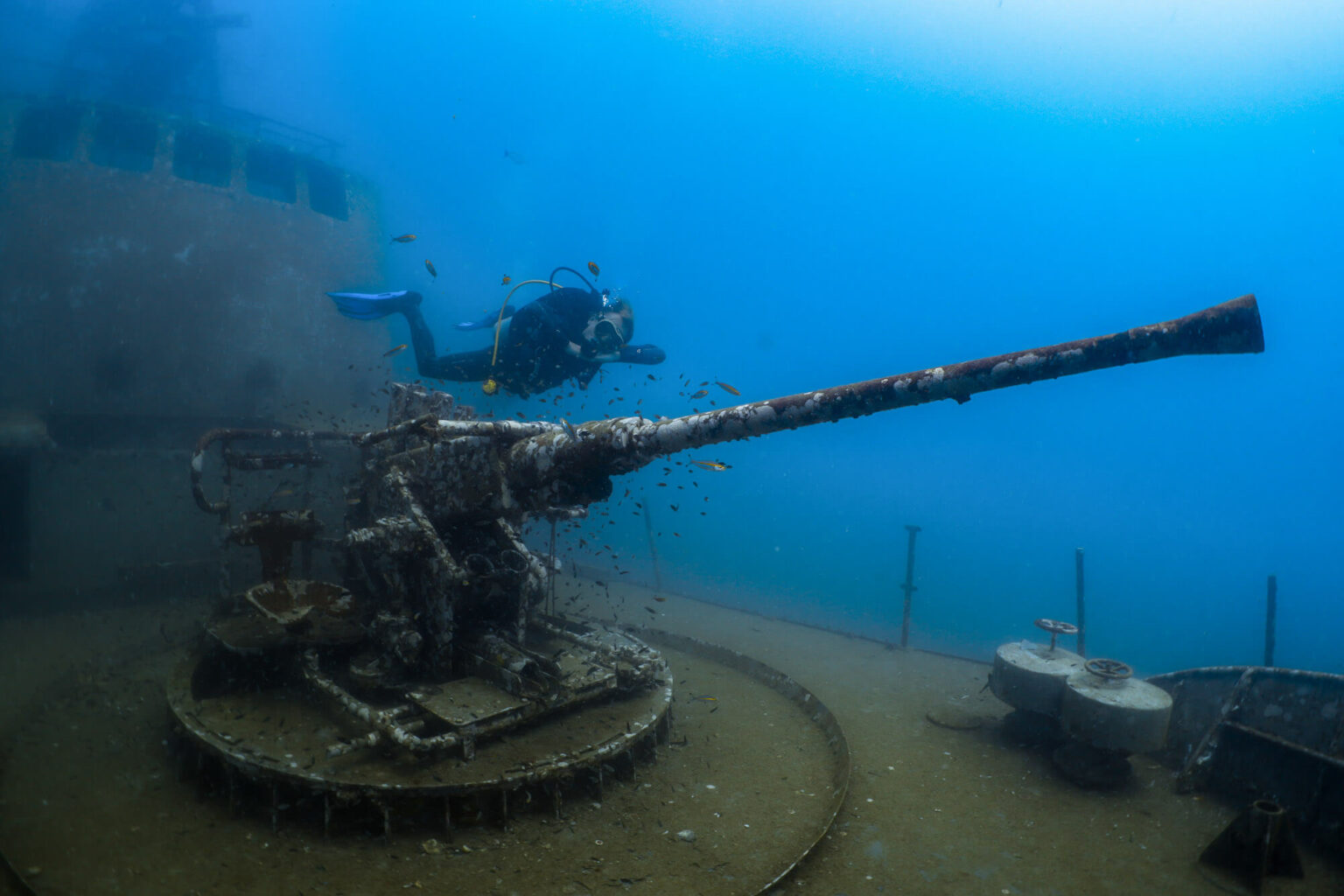 Diver explores a sunken ship with a large rusty cannon underwater, surrounded by small fish.